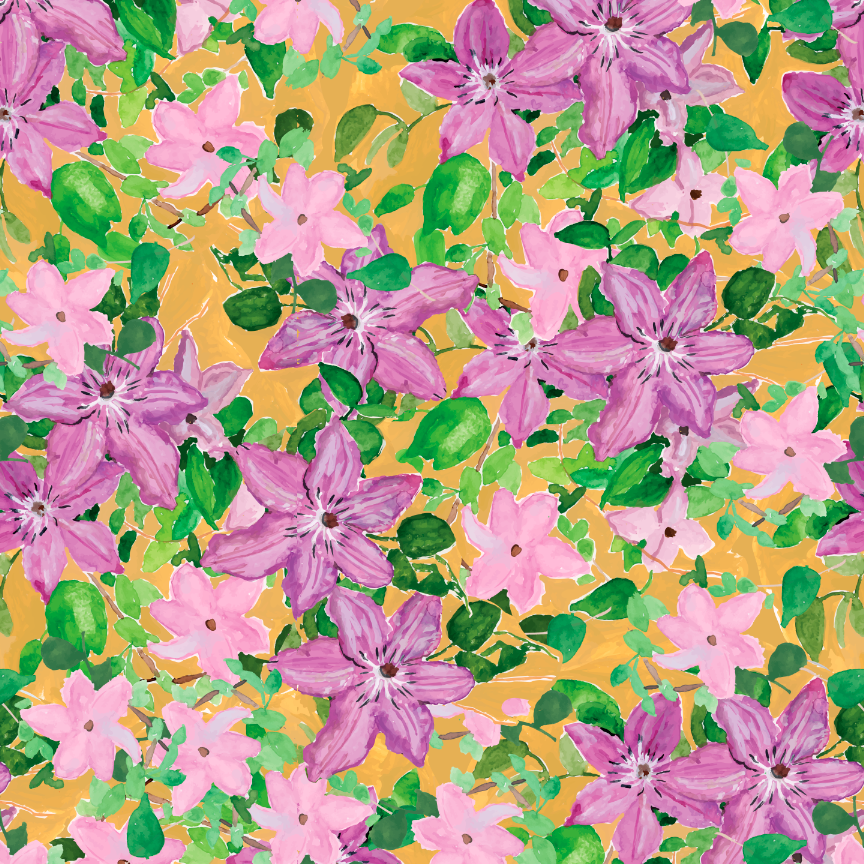 Clematis Wallpaper